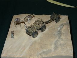 d1 trattore_pavesi dsc09259